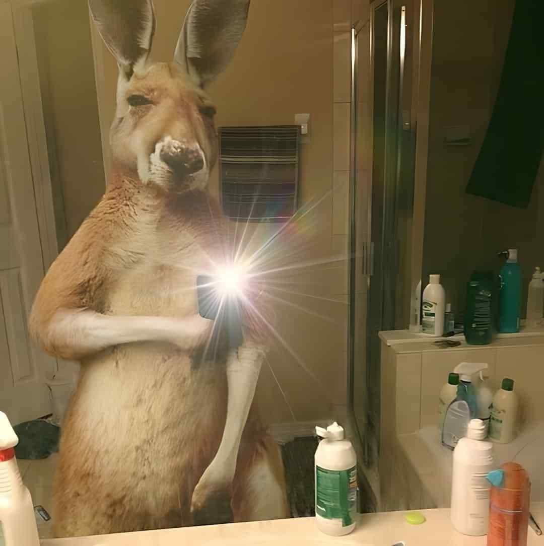DefaultDude's profile picture